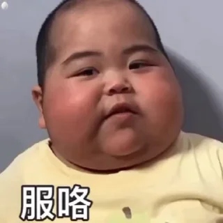 Video sticker 🌟 奋斗的小帅少年狼  @WenWen209999 :: @fStikBot