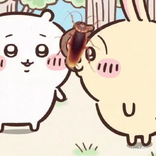 Video sticker ⭐ chiikawa eat food