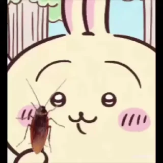 Video sticker ⭐ chiikawa eat food