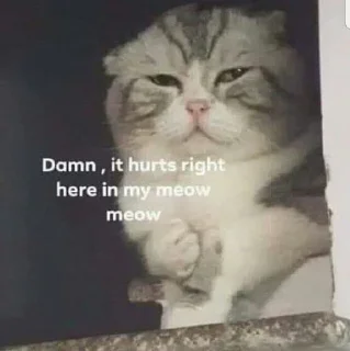 Телеграм стикер 🙏 Mood