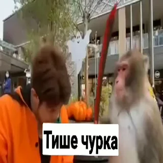Telegram stiker 😡 Мартышка пон by пыль¹
