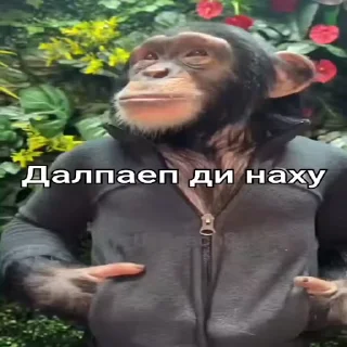 Telegram stiker 😎 Мартышка пон by пыль¹