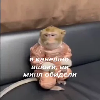 Telegram stiker 😔 Мартышка пон by пыль¹