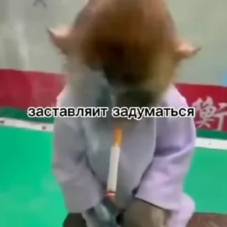 Telegram stiker 🤓 Мартышка пон by пыль¹