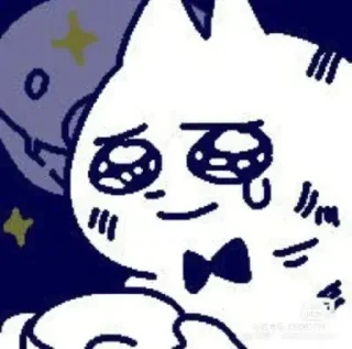 Telegram sticker 😌 Funny Chinese Cat