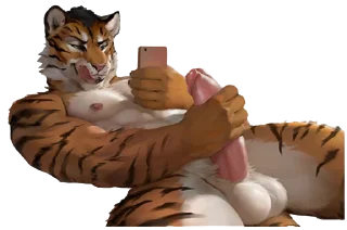 Telegram sticker 🎥 Karnal Porn