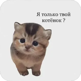 Sticker 🥰 Больше стиков тут: @archstick