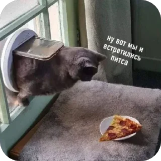Telegram sticker 🍕 Больше стиков тут: @archstick
