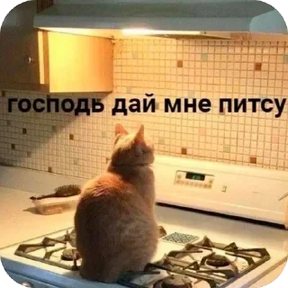 Telegram sticker 🍕 Больше стиков тут: @archstick