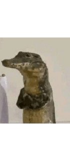 Telegram sticker 🌟 marceliel :: @fStikBot