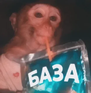 Video sticker 🧃 Волинський андеграунд @ProbkaMeme
