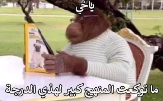 Video sticker 🎁 منوري @xlem7mdbot