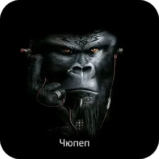 Telegram stiker 🖼 Стикеры ProstoMonkey