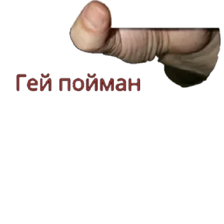 Video sticker 🔼 Стикеры ProstoMonkey