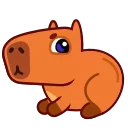 Video sticker 🤔 Capyboy @TgEmojis