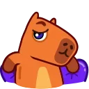 Video sticker 😏 Capyboy @TgEmojis