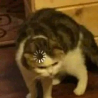 Telegram sticker 🤨 🐱 CAT MEME 🐱 :: @fStikBot