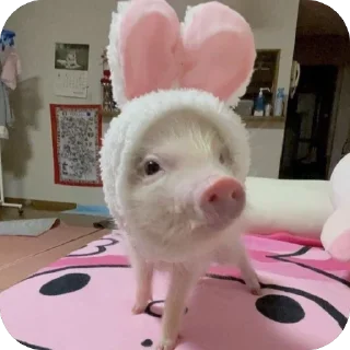 Телеграм стикер 🫥 duda