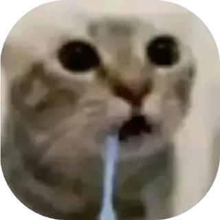 Telegram sticker 😦 Полный рандом 2 (@neon1094_channel)