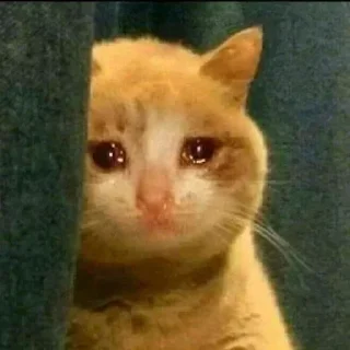 Telegram sticker 😢 IAC random shit
