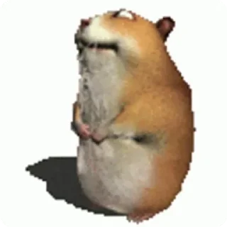 Telegram sticker 🐹 Хомк