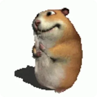 Video sticker 🐹 Хомк