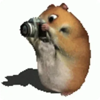 Video sticker 🐹 Хомк