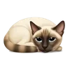 Sticker 🌟 от канала @BELENKONA ❤️ с любовью!