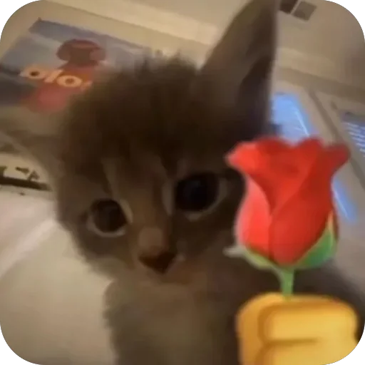 Telegram sticker 😀 Cute.cri