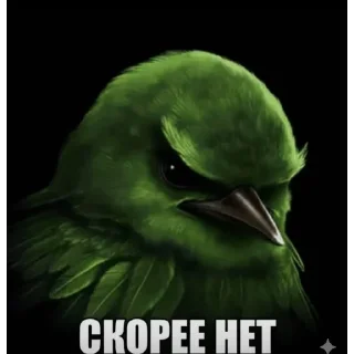 Video sticker 🤔 Вряд-ли | птицы @BLBTGK