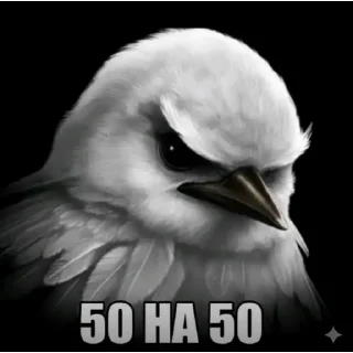 Video sticker 🤔 Вряд-ли | птицы @BLBTGK