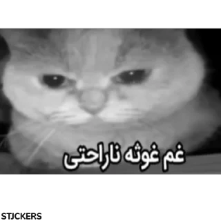 Video sticker 😿 @stjckers شماره مجازی ارزان👉🏼 @Majazinoo_accbot