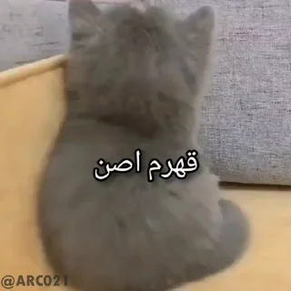 Video sticker 😒 @stjckers @gpstick @Majazinoo_accbot