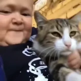 Video sticker 🐈 Hasbik  ¦ @figurinhasWa
