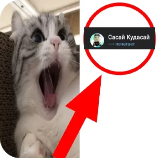 Телеграм стикер 🐱 Cuymr | От @GrowaGardenInTg