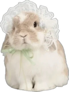 Telegram sticker 🌟 myrziki💝 :: @fStikBot