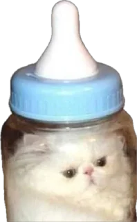 Telegram sticker 🍼 myrziki💝 :: @fStikBot