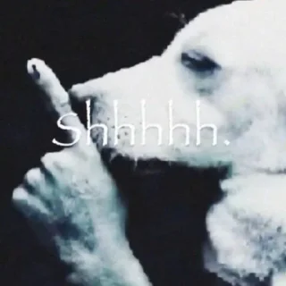 Telegram sticker 🤩 DJ KINGDOM