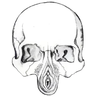 Telegram sticker 🧐 O.A. Kuwert @stickersb2b