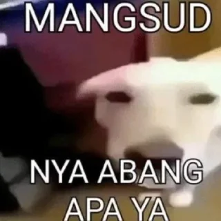 Video sticker ❓ plenger