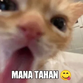 Video sticker ❓ plenger