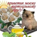 Telegram sticker 👋 мемные стикеры для тебя @soundsfromthevagina