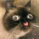 Telegram sticker 😛 мемные стикеры для тебя @soundsfromthevagina