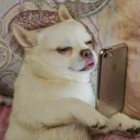 Telegram sticker 😑 мемные стикеры для тебя @soundsfromthevagina