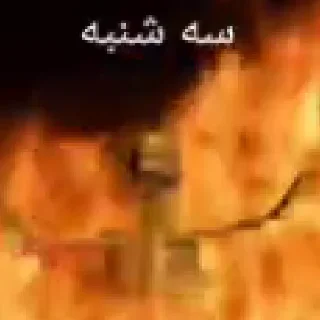 Video sticker 🔥 شکنجه خروس و توپ اصولی