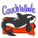 Video sticker 🙃 Teeka Orca by Teeka