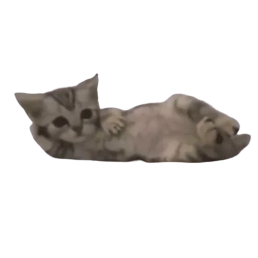 Telegram sticker 🧐 myheheheh @Stikerhi_bot