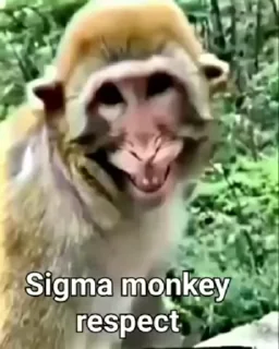 Video sticker 🌟 @FNTD_CHAT :: @fStikBot