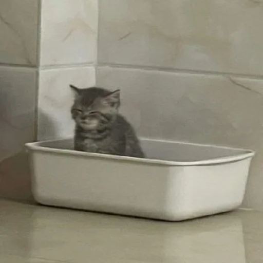 Sticker 👌 Cherryjain61's sticker set