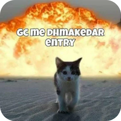 Telegram sticker 🐱 Cherryjain61's sticker set